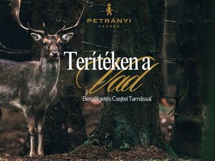Terítéken a Vad - beszélgetés Csejtei Tamással 
