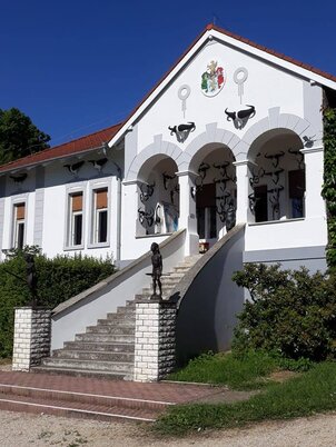 Africa Museum