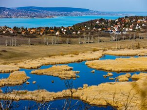 Ma van a víz világnapja! – Tudj meg többet a Balatont és környékét tápláló vízforrásokról!