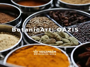 BotanicArt - Oázis / Január