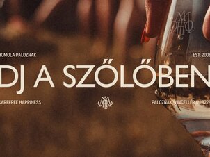 DJ a szőlőben - Évadzáró Santa Party