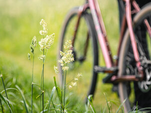 Early Spring Bike Tour 2026