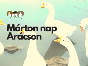 Márton-nap Arácson