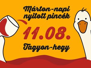 St. Martin's Day Open Cellars