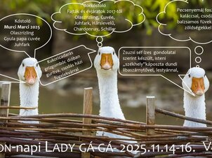 Márton-napi Lady Gá-Gá