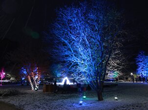 Fények völgye - Ünnepi fényvarázs a Kolostorok és Kertekben