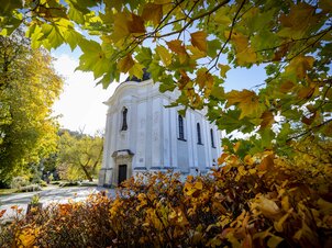 Unforgettable activities in Veszprém and the surrounding area to fill your fall break with real adventures 