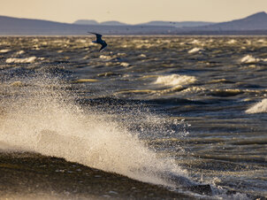 Huray Evenings: Storm clouds over the Hungarian Sea? – Lake Balaton in the context of climate change